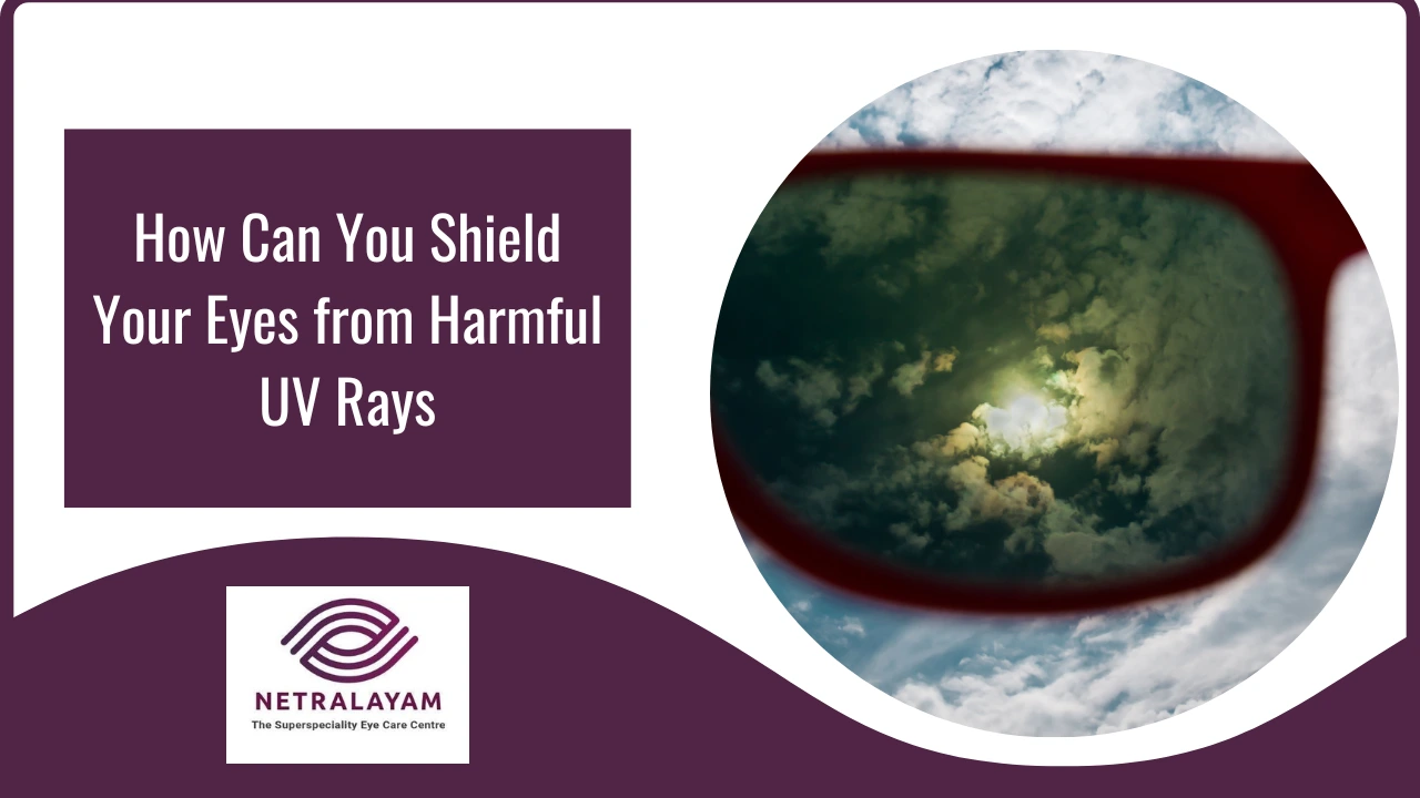 How Can You Shield Your Eyes from Harmful UV Rays